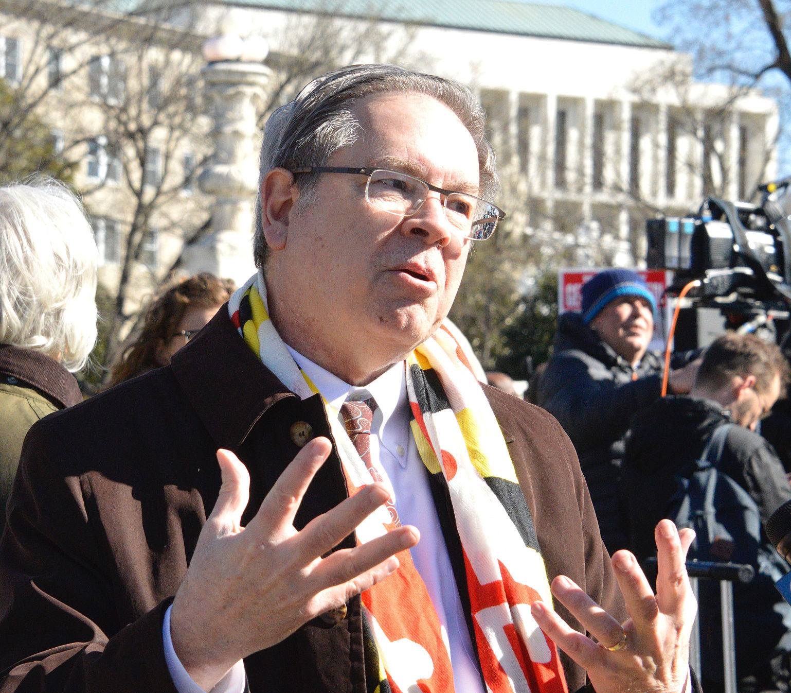 SH Gerrymandering Rally 12